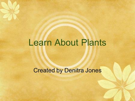 Learn About Plants Created by Denitra Jones. Parts of a Plant Roots Stem Leaves.