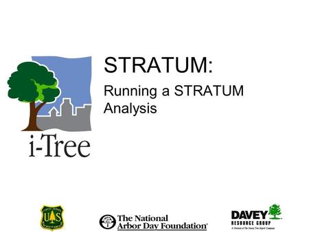 STRATUM: Running a STRATUM Analysis. Creating a STRATUM Project.
