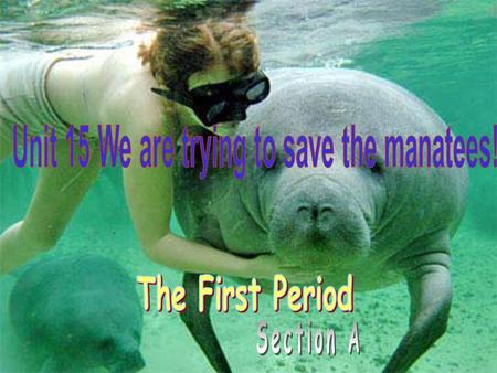 Unit 15 We are trying to save the manatees!