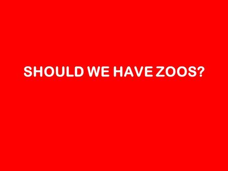 SHOULD WE HAVE ZOOS?. YES Chelsea 1 – so the animals dont get lost Deklan – So we can see animals Anneliese – So we can take photos of animals Bianca.