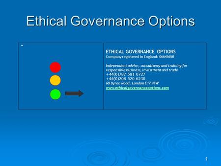 1 ETHICAL GOVERNANCE OPTIONS Company registered in England: 06645650 Independent advice, consultancy and training for responsible business, investment.