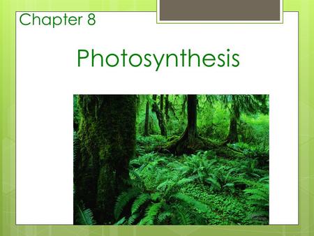 Chapter 8 Photosynthesis.