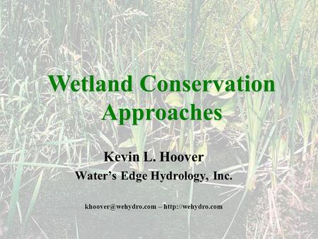 Kevin L. Hoover Waters Edge Hydrology, Inc. –  Wetland Conservation Approaches.