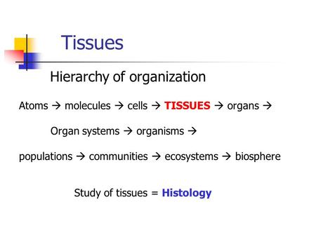 Tissues Hierarchy of organization