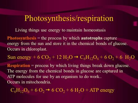 Photosynthesis/respiration