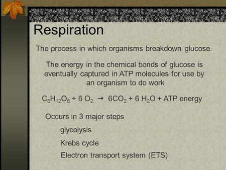 Respiration The process in which organisms breakdown glucose.