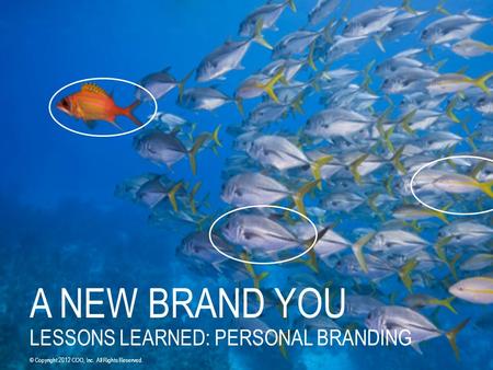 A NEW BRAND YOU LESSONS LEARNED: PERSONAL BRANDING