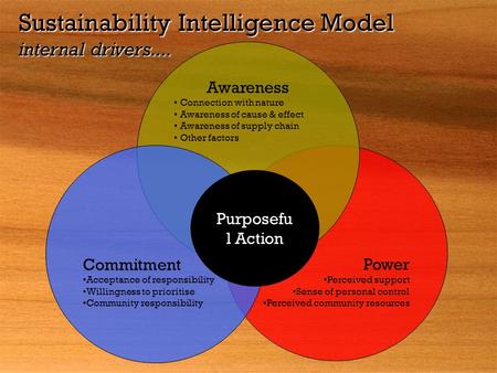 Sustainability Intelligence Model internal drivers....
