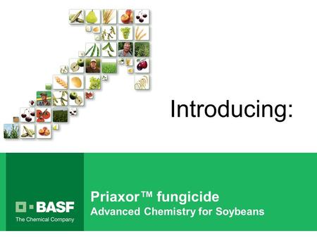 Priaxor™ fungicide Advanced Chemistry for Soybeans