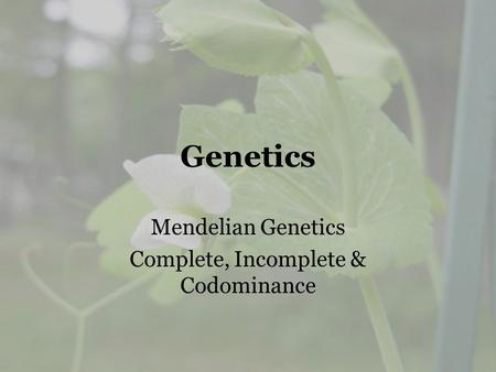 Mendelian Genetics Complete, Incomplete & Codominance