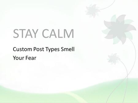 STAY CALM Custom Post Types Smell Your Fear. WHO AM I? Christine the designer, coder, and WordPress Specialist doesnt sound as good. Yes! This presentation.