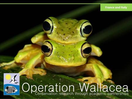 France and Italy. What is Operation Wallacea? Scientific expeditions in 15 countries 200+ academics running more than 120 projects Results published in.