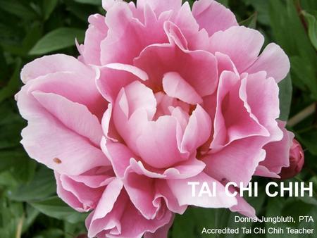 TAI CHI CHIH Donna Jungbluth, PTA Accredited Tai Chi Chih Teacher.