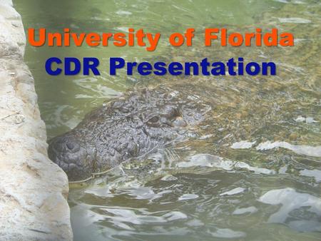 University of Florida CDR Presentation