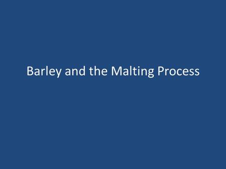 Barley and the Malting Process