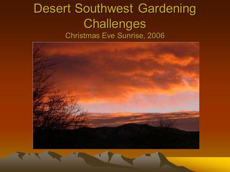 Desert Southwest Gardening Challenges Christmas Eve Sunrise, 2006.