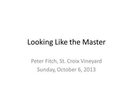 Looking Like the Master Peter Fitch, St. Croix Vineyard Sunday, October 6, 2013.