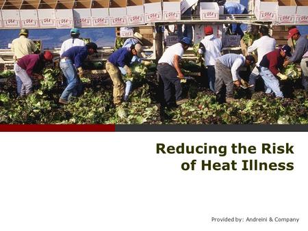 Reducing the Risk of Heat Illness