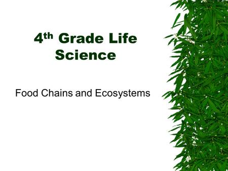 Food Chains and Ecosystems