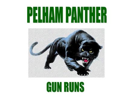 PELHAM PANTHER GUN RUNS.