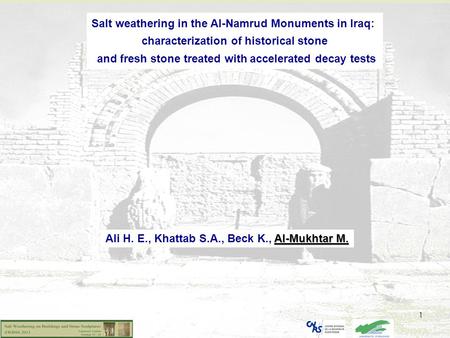 Salt weathering in the Al-Namrud Monuments in Iraq: