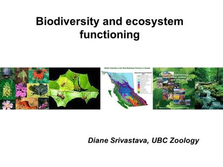 Biodiversity and ecosystem functioning