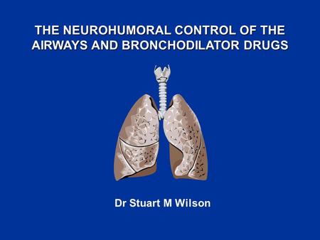 THE NEUROHUMORAL CONTROL OF THE AIRWAYS AND BRONCHODILATOR DRUGS