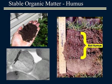 Stable Organic Matter - Humus. Humic substancesNon-humic substances Fulvic acidHumic acidHumin i.e. polysaccharides, proteins, lignins, etc. In their.