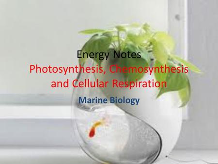 Energy Notes Photosynthesis, Chemosynthesis and Cellular Respiration