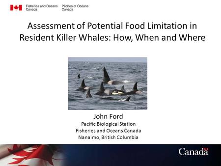 Assessment of Potential Food Limitation in Resident Killer Whales: How, When and Where John Ford Pacific Biological Station Fisheries and Oceans Canada.