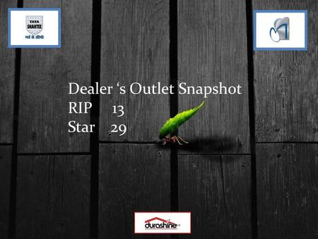 Dealer ‘s Outlet Snapshot
