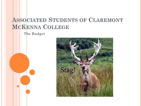 A SSOCIATED S TUDENTS OF C LAREMONT M C K ENNA C OLLEGE The Budget.