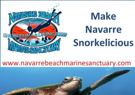 Overview WHO? Marine Sanctuary Committee Part of Navarre Area Chamber of Commerce 501 c 3 - Chamber Foundation All Volunteer Organization Monthly Meetings.