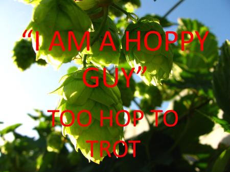 I AM A HOPPY GUY TOO HOP TO TROT. What are Hops? Hops are one of the basic ingredients in beer brewing - the others being grain, yeast, and water Flower.