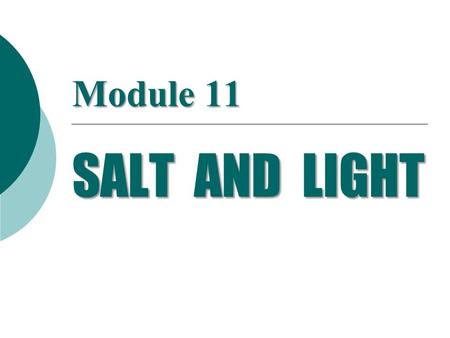 Module 11 SALT AND LIGHT.