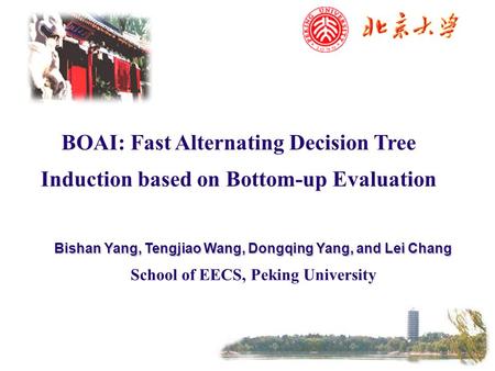 BOAI: Fast Alternating Decision Tree