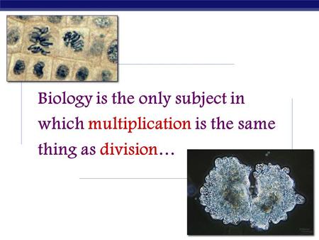 Biology is the only subject in which multiplication is the same thing as division… 2006-2007.