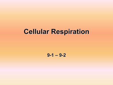 Cellular Respiration 9-1 – 9-2