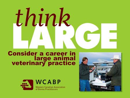 Consider a career in large animal veterinary practice.