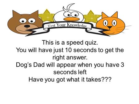 This is a speed quiz. You will have just 10 seconds to get the right answer. Dogs Dad will appear when you have 3 seconds left Have you got what it takes???