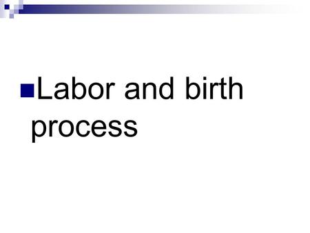 Labor and birth process