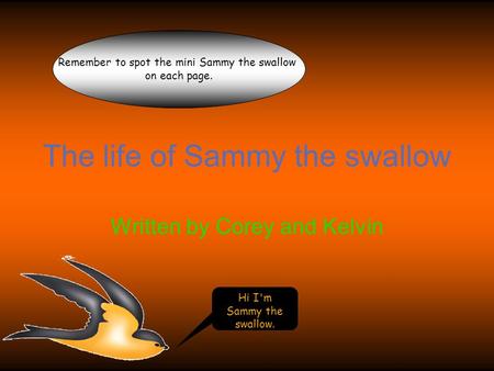 The life of Sammy the swallow Written by Corey and Kelvin Hi I'm Sammy the swallow. Remember to spot the mini Sammy the swallow on each page.
