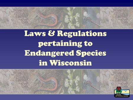 Laws & Regulations pertaining to Endangered Species in Wisconsin.