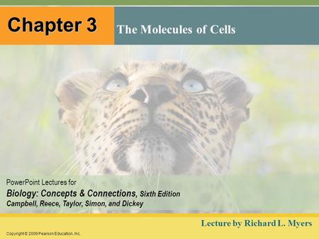 Chapter 3 The Molecules of Cells Lecture by Richard L. Myers