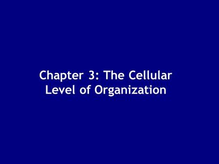 Chapter 3: The Cellular Level of Organization
