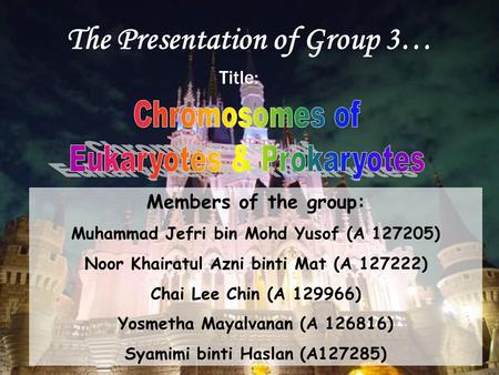 The Presentation of Group 3…