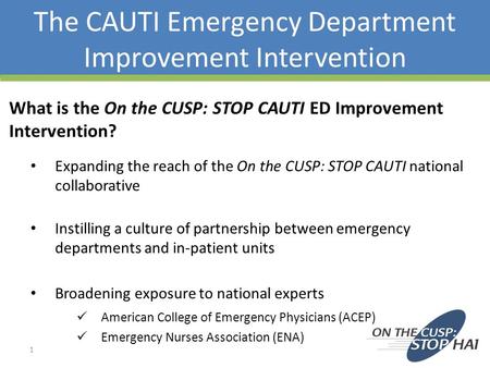The CAUTI Emergency Department Improvement Intervention