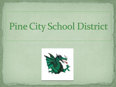Pine City Public Schools Early Childhood100 Elementary800 High School800 St. Marys Catholic School (P-6) 45 students Home School 40.