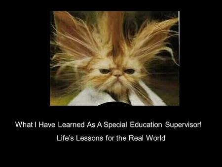 What I Have Learned As A Special Education Supervisor! Lifes Lessons for the Real World.