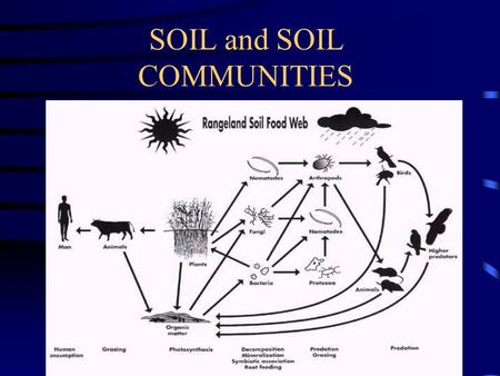 SOIL and SOIL COMMUNITIES